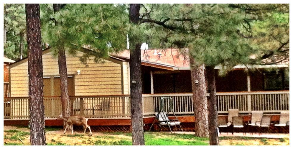Village Lodge Ruidoso Kültér fotó
